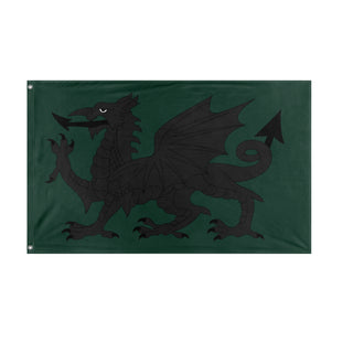 welsh dragon flag (oliver)