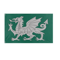 silver dragon flag (OTP)
