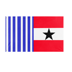California redisgned flag (Sandra Zenteno Quintana)