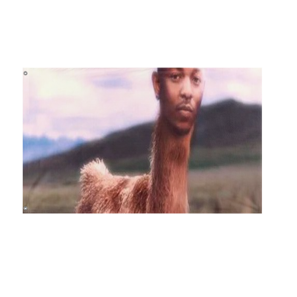 Kendrick Llama flag (ben) – Flagmaker & Print