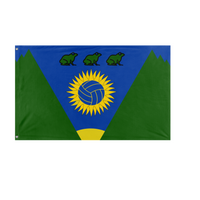 SLOCAN VOLLEYBALL flag (Darcy)