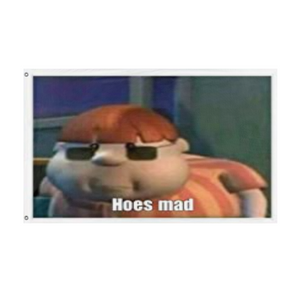Carl Wheezer flag (Mike)