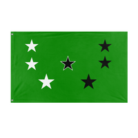 New Jencaster fiction US state flag (Roman)