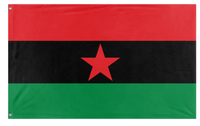 Revolutionary Black Panther Party flag (Zephyr Nuban)