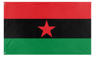 BPP Huey Newton flag (Zephyr Nuban)