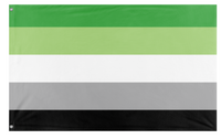 Aromantic flag ( )