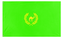 the green flag (omar)